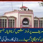 To make Nawaz Sharif Nawaz Sharif, Hardwell's headyard was expensive ... The big action was reported