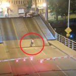 Wisconsin: Woman goes down from the close bridge