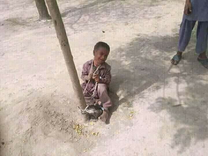 bhakkar, pti, candidate, barbaric, violence, recorded,when, a, three, years, old, child, torn, his, posters, while, playing, in, the, field 