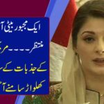 A compulsory daughter looks forward to helping you ... Mary Nawaz's latest toy with the feelings of the public came out