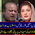 Alizizia Steel Mills Referendum: Accountability court reports news about Sharif's family