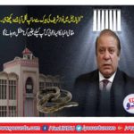 The snake came out of Nawaz Sharif's barrack, running on noise