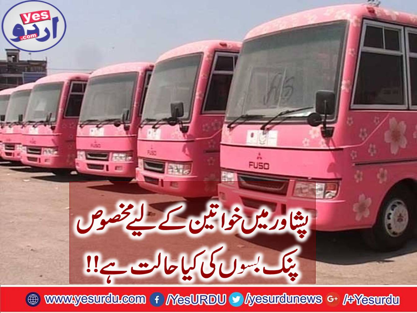 Pink buses for women in Peshawar start to fail