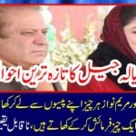 Latest News of Adela Jail: Mian Nawaz Sharif and Maryam Nawaz eat everything and drink from their money, but one thing in jail is eaten by food, incredible details