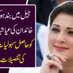 Details of Sharif's family, closure of facilities and freedoms of Mary Nawaz, in jail