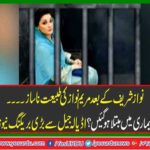 Maryam Nawaz temper not well after Nawaz Sharif