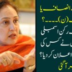 TTP or PML (N) ....? Who has declared the independent nomination Jagano Mohsin of the nomination? Got it