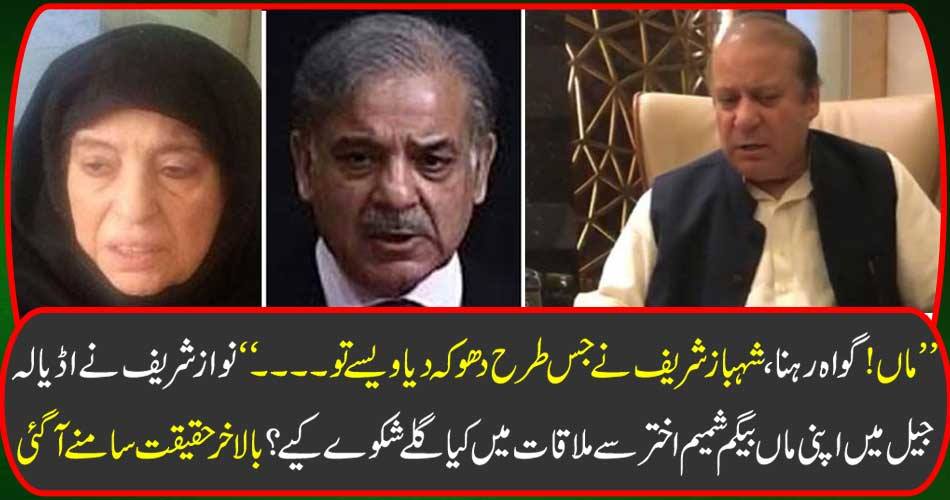 '' Mother! Staying witness, how did Shahbaz Sharif deceive you ... ........ "What did Nawaz Sharif complain to his mother Begum Shamim Akhtar in Adela prison? Finally the fact came