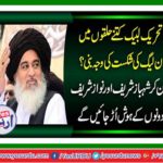 How much of the Tehreek-i-Labbaik was the cause of PML N defeat?
