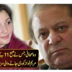 The journalist who told the details of the punishment given to Nawaz Sharif and Maryam Nawaz at 11 am in the morning