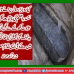 Sikandaria: Do two thousand years old Alexander the great coffin remedies come out?