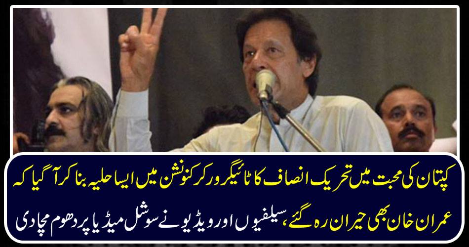 In the love of captain, the Tiger Worker's Tiger Worker's Convention came in a way that Imran Khan was amazed, the culprits and the video smashed on social media.