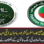 The assistant commissioner of Punjab's most important district, which is supporting the head of general (N) Leagues ... The distinction of the women's violence against women, shocked everyone