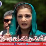 Not to be scared Ready to go to jail, Maryam Nawaz