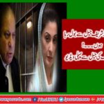 Maryam Nawaz third Social Media Message released from jail