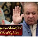Evening field reference decision was heard, Nawaz Sharif was arrested for 7 years, 10 years old