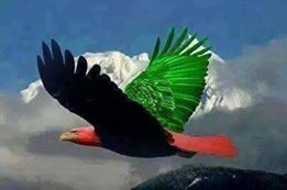 have, a, view, on, election, campaign, of, Bilawal, bhutto, zardari, by, qaim khani, ppp, media, cell