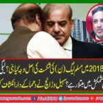 What are the main reasons for the defeat of the Muslim League (N)?
