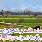 Such are big people: A landlord of the most important rural area of ​​Punjab has donated its billions of rupees worth of land? You will not believe by knowing