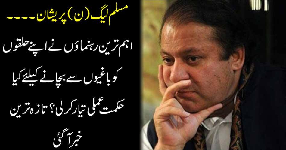 The PML-N worried .... what strategy did the most important leaders prepare to save their constituencies from insurgents? The latest news came