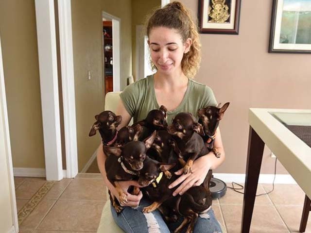49 cloning copies of Miracle Mili set up World Record