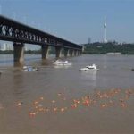 Thousands of people attend China's swimming competition