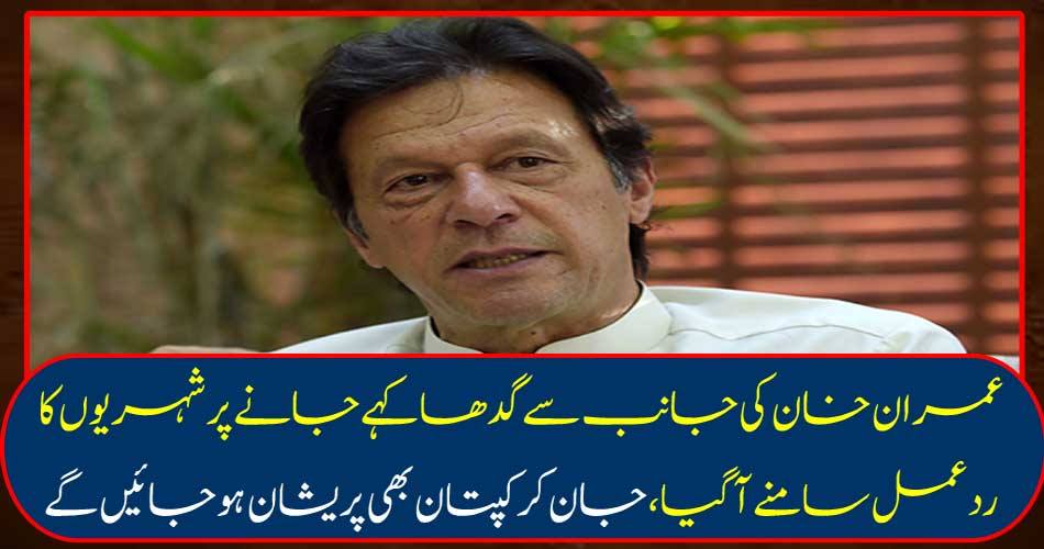 Imran Khan calls for donkeys to be called donkeys, captains will also be worried