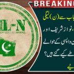 Breaking News: What matters have been made regarding the withdrawal of Nawaz Sharif and Mary Sharif's return from the supervisor government (N) League leadership? Get it