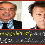 Shahbaz Sharif or Imran Khan: Who is Pakistan's most popular leader these days? See the resulting results of the American Institute of Surveying in this news