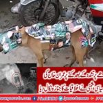 Increasing political intolerance in the public