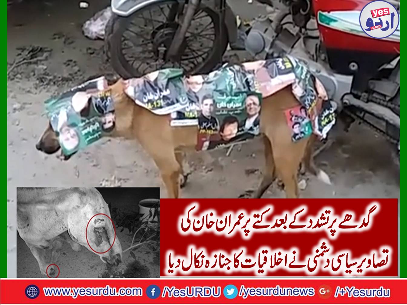 Increasing political intolerance in the public