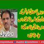 Overseas Pakistanis want to see France like your homeland and make it more developed, Senior leader Pakistan Tehreek-e-Insaf Abrar Kayani
