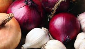 In the stuff afternoon, raw onions' learn the secrets