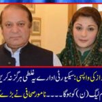 Nawaz Sharif and Mary Nawaz's return: Do not do this mistake by the security agencies or otherwise the situation will worsen and the benefit of the Muslim League (N) will be .... The famous journalist called for a big job.