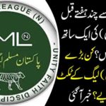 A total of 8 wickets fell as well as PML-N in the general elections? Which big names have returned to the league tickets? Got it