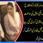When Nawaz Sharif and Mary Nawaz were informed that his appeal against the punishment was adjourned after the election, what did the father's daughter show? Diving News