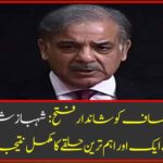 Shahbaz Sharif loses victorious victory: A complete result of another important constituency of the National Assembly