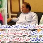 Why do people of the family, including Nawaz Sharif and Mary Nawaz live in the same place all day in the morning? What is the most discussed? Asmaa Nawaz has become an ideal oriented daughter? Knowing, despite political opposition, you will feel sorry