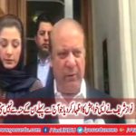 Even field reference decision should be delay for some days, Nawaz Sharif's request