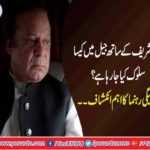 Nawaz Sharif was treated worse than the drug seller, Maryam Aurangzeb