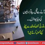 Video viral of untouchable cats before earthquake