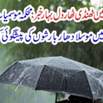 Cool spring in the summer season Dil Bahadur Khabar: Meteorological department predicts heavy rainfall in cities of Pakistan? Get it