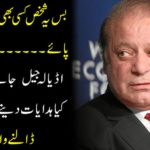 Just this person can not win any case ..... What instructions did Nawaz Sharif give before going to Adela Jail? Diving News