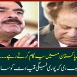 Nawaz Sharif continued to do this in Pakistan. Sheikh Rasheed said such a thing that the entire leadership led to the snake