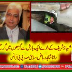 progress, of, muslim, league, noon, vanished, in, the, rain,of, hall road, says, ex-president, ppp, france, rana shahid riaz