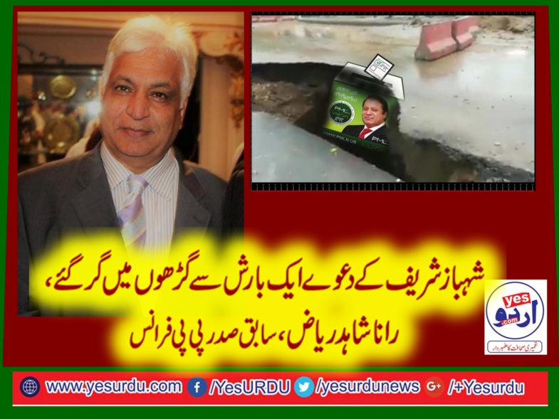 progress, of, muslim, league, noon, vanished, in, the, rain,of, hall road, says, ex-president, ppp, france, rana shahid riaz