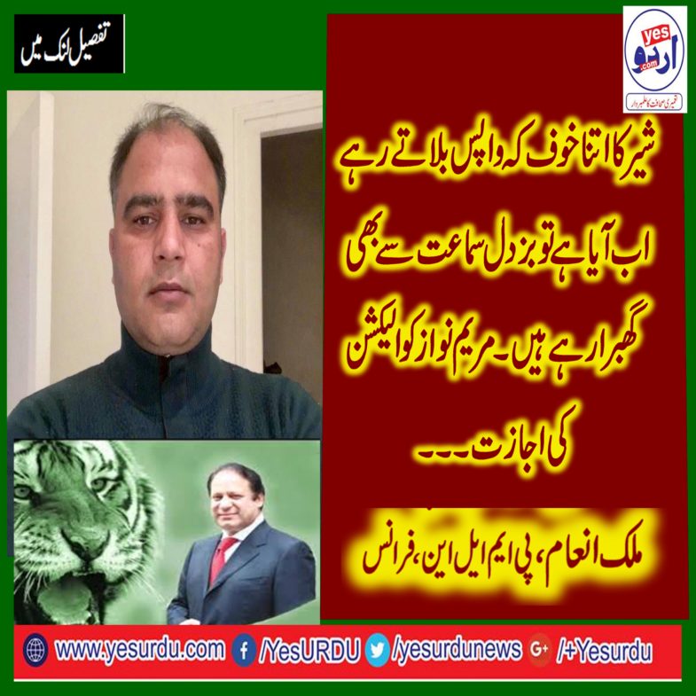 Pakistani, establishment, afraid, of, Lian, Nawaz, by, not, allowing, him, to, contest, in, election, nor, dare, to, hear, his, appeals, in, court, says, malik inam, information, secretary, pmln, youth, wing, france