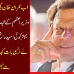 Now Imran Khan is turning ... no candidate is better than prime minister, noble personality said such things that Tigers rose up happily.
