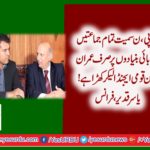 YASIR QADEER, PTI, FRANCE, SAYING, ONLY, PTI, HAVE, NATIONAL, AGENDA, PMLN, PPP, ARE, SELLING, THE, PROVINCIAL, CHOORAN