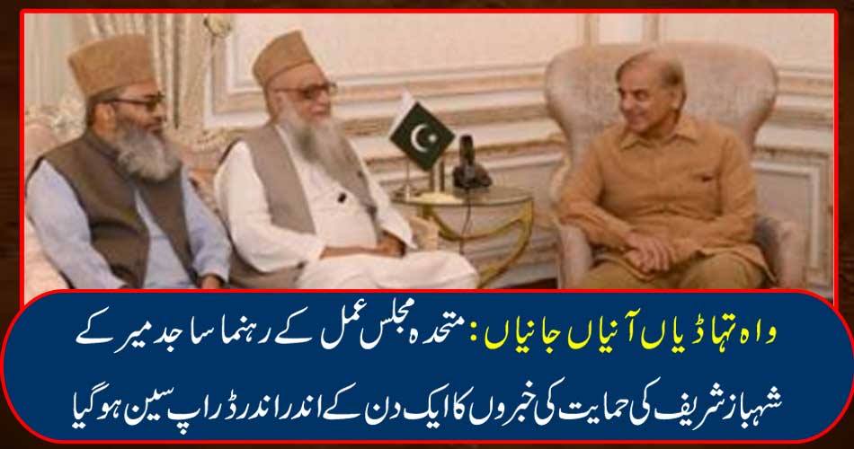 Wow Things: Tune-ups: A day of news about the support of Shahbaz Sharif's leader Sajjad Mir drops out.